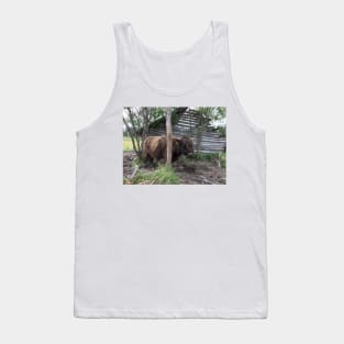 Scottish Highland Cattle Bull 1462 Tank Top